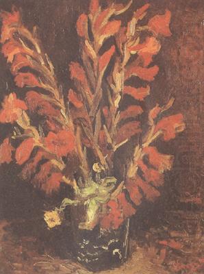 Vincent Van Gogh Vase wiht Red Gladioli (nn04) china oil painting image